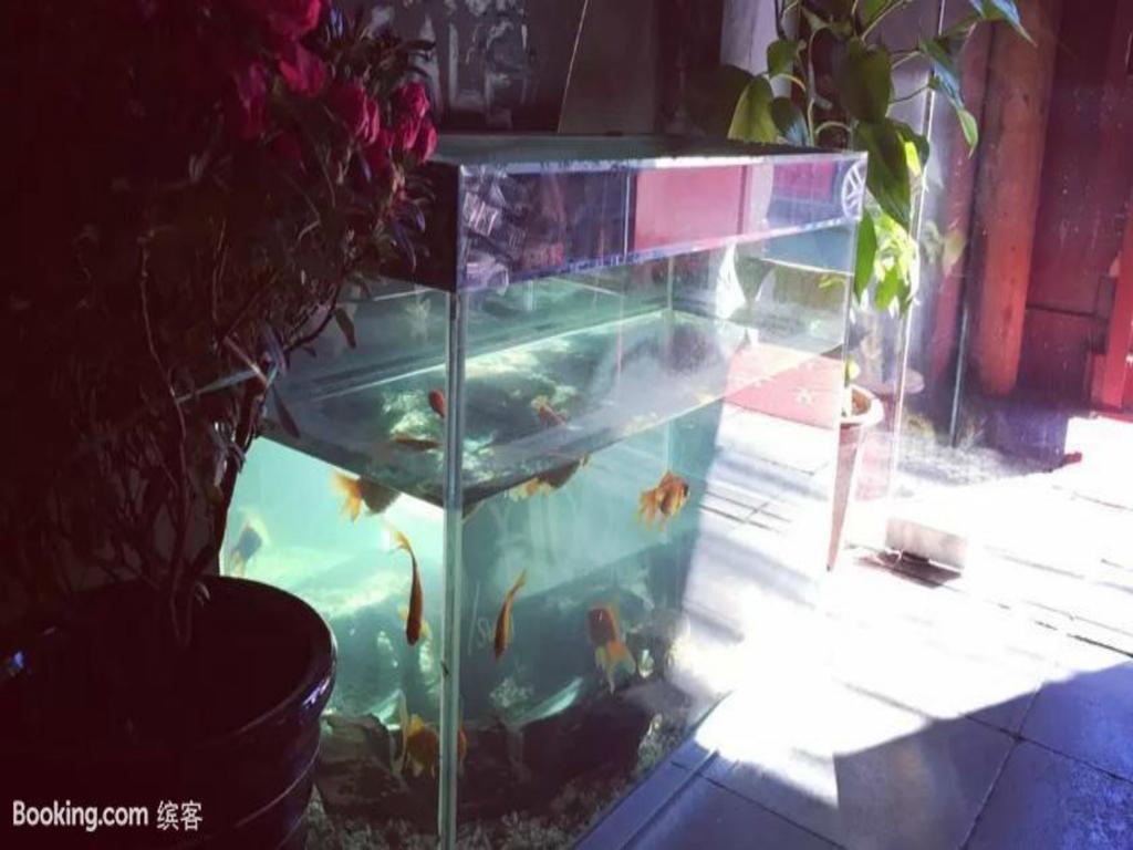 Three Legged Frog Hostel Beijing Exterior foto