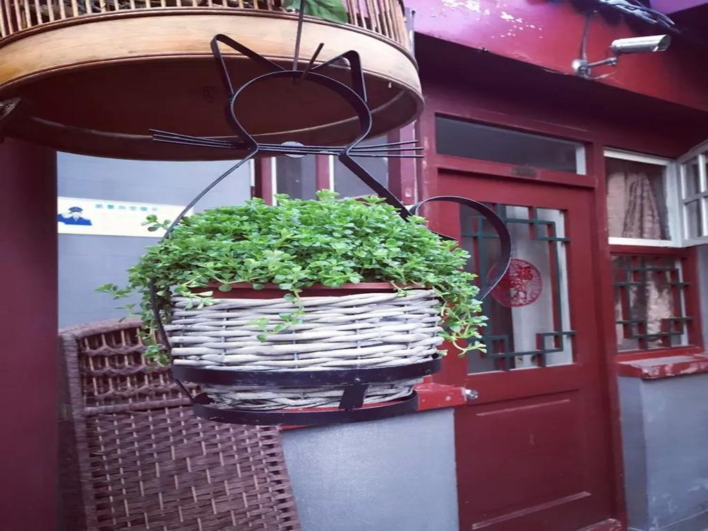 Three Legged Frog Hostel Beijing Exterior foto